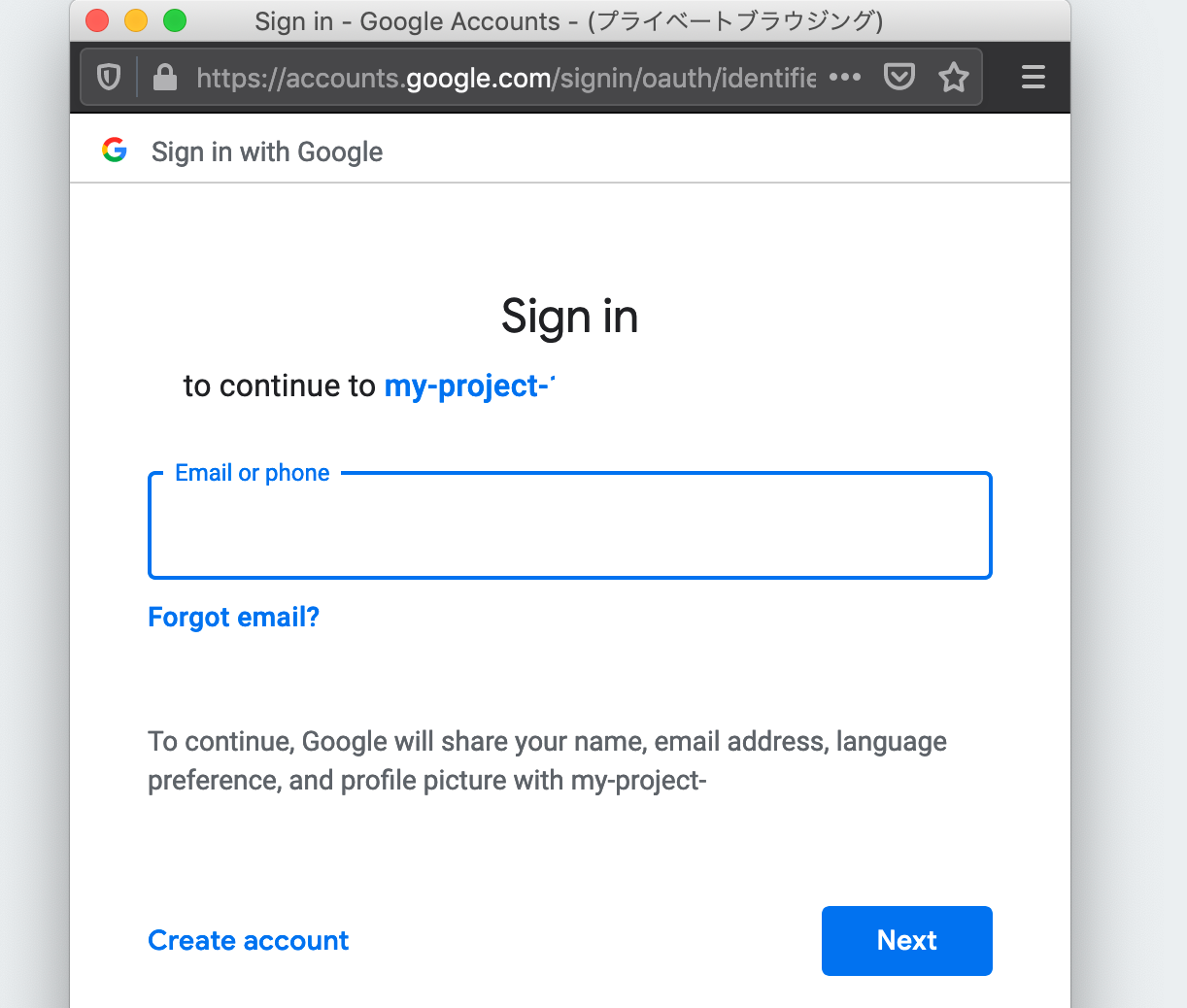 Google sign in form