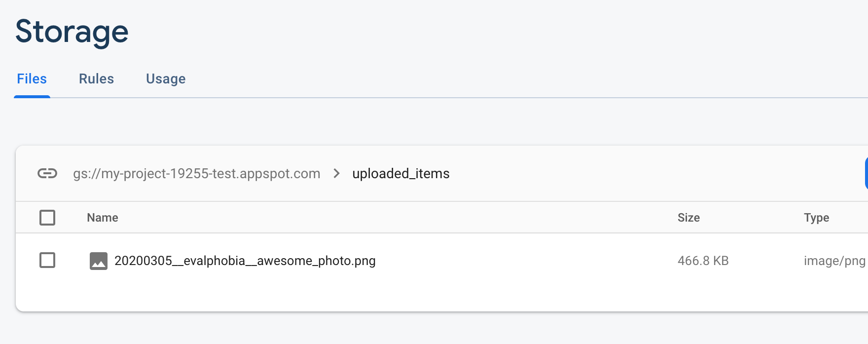 Firebase storage: uploaded file