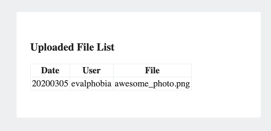 Uploaded file list